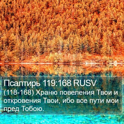 Псалтирь 119:168 RUSV Bible Verse Image