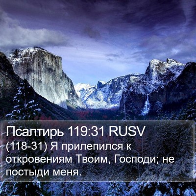 Псалтирь 119:31 RUSV Bible Verse Image