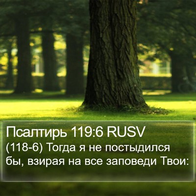 Псалтирь 119:6 RUSV Bible Verse Image