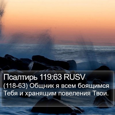 Псалтирь 119:63 RUSV Bible Verse Image
