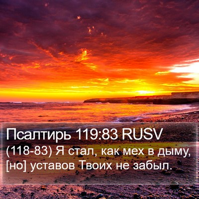 Псалтирь 119:83 RUSV Bible Verse Image