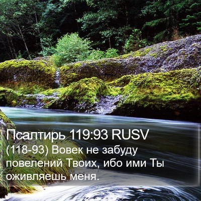 Псалтирь 119:93 RUSV Bible Verse Image