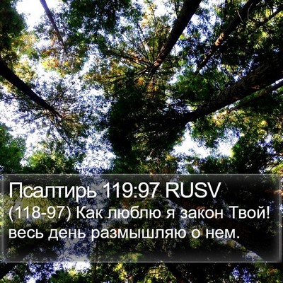 Псалтирь 119:97 RUSV Bible Verse Image