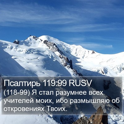 Псалтирь 119:99 RUSV Bible Verse Image