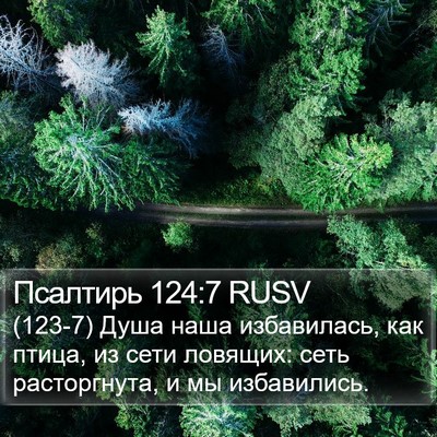 Псалтирь 124:7 RUSV Bible Verse Image