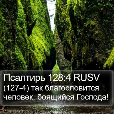 Псалтирь 128:4 RUSV Bible Verse Image
