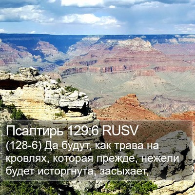 Псалтирь 129:6 RUSV Bible Verse Image