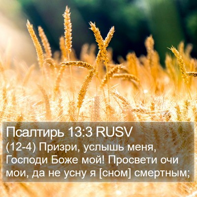 Псалтирь 13:3 RUSV Bible Verse Image