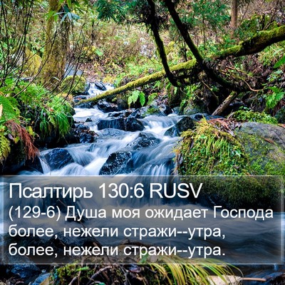 Псалтирь 130:6 RUSV Bible Verse Image