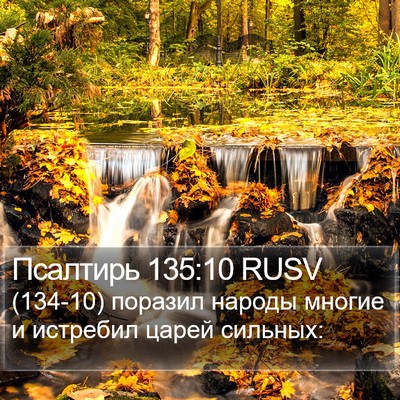 Псалтирь 135:10 RUSV Bible Verse Image