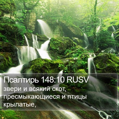 Псалтирь 148:10 RUSV Bible Verse Image