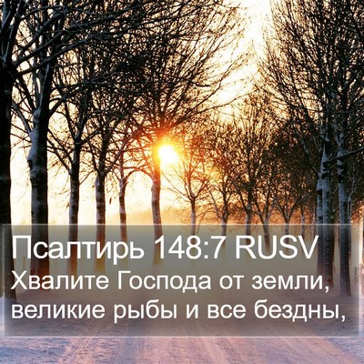 Псалтирь 148:7 RUSV Bible Verse Image