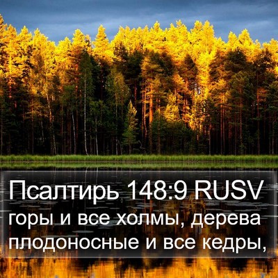 Псалтирь 148:9 RUSV Bible Verse Image