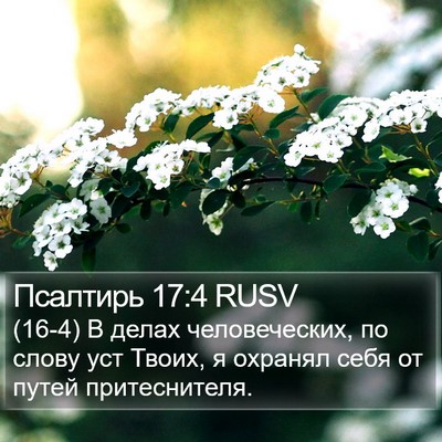 Псалтирь 17:4 RUSV Bible Verse Image