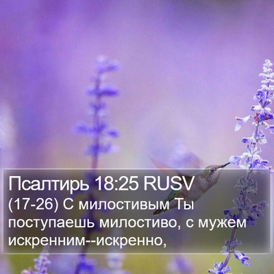 Псалтирь 18:25 RUSV Bible Verse Image