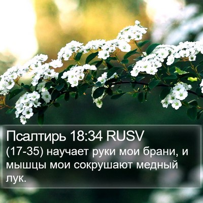 Псалтирь 18:34 RUSV Bible Verse Image