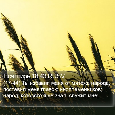 Псалтирь 18:43 RUSV Bible Verse Image
