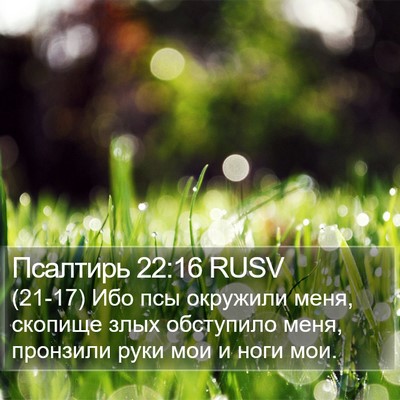 Псалтирь 22:16 RUSV Bible Verse Image