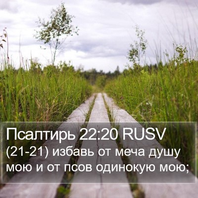Псалтирь 22:20 RUSV Bible Verse Image