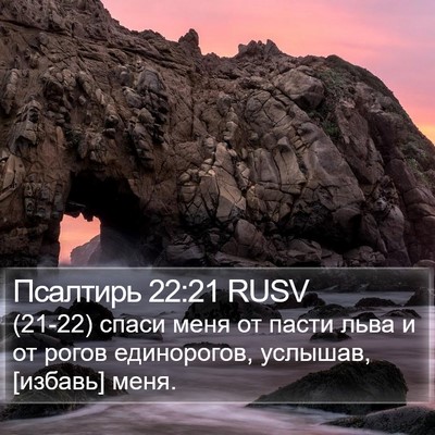 Псалтирь 22:21 RUSV Bible Verse Image