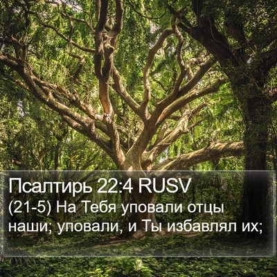 Псалтирь 22:4 RUSV Bible Verse Image