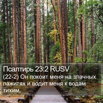Псалтирь 23:2 RUSV Bible Verse Image