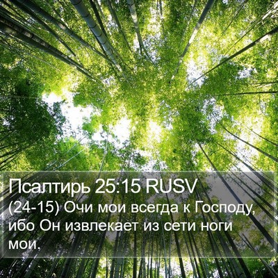 Псалтирь 25:15 RUSV Bible Verse Image