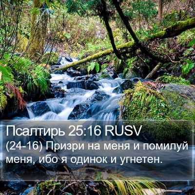 Псалтирь 25:16 RUSV Bible Verse Image