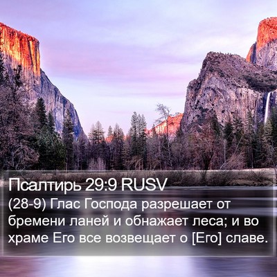 Псалтирь 29:9 RUSV Bible Verse Image