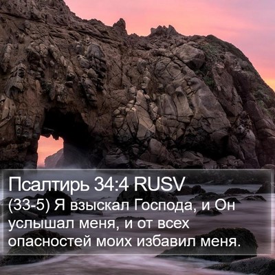 Псалтирь 34:4 RUSV Bible Verse Image