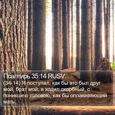 Псалтирь 35:14 RUSV Bible Verse Image