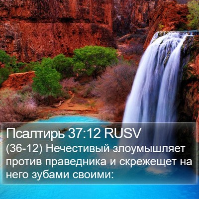Псалтирь 37:12 RUSV Bible Verse Image