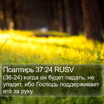 Псалтирь 37:24 RUSV Bible Verse Image