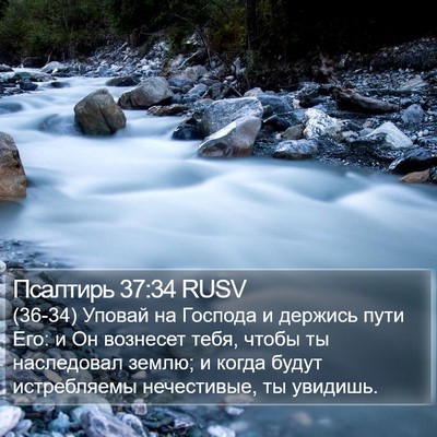 Псалтирь 37:34 RUSV Bible Verse Image