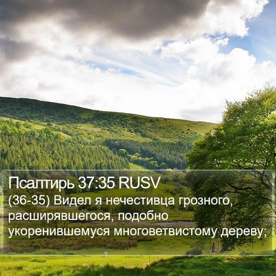 Псалтирь 37:35 RUSV Bible Verse Image