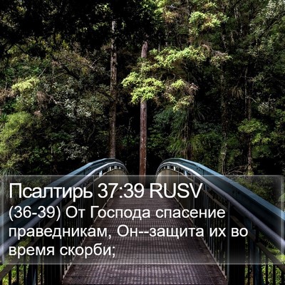 Псалтирь 37:39 RUSV Bible Verse Image