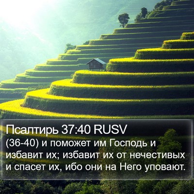Псалтирь 37:40 RUSV Bible Verse Image