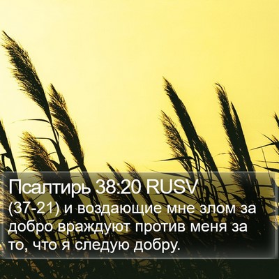 Псалтирь 38:20 RUSV Bible Verse Image