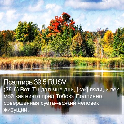 Псалтирь 39:5 RUSV Bible Verse Image
