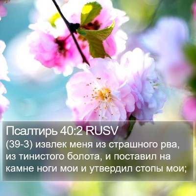 Псалтирь 40:2 RUSV Bible Verse Image