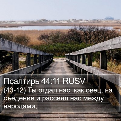 Псалтирь 44:11 RUSV Bible Verse Image
