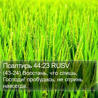 Псалтирь 44:23 RUSV Bible Verse Image