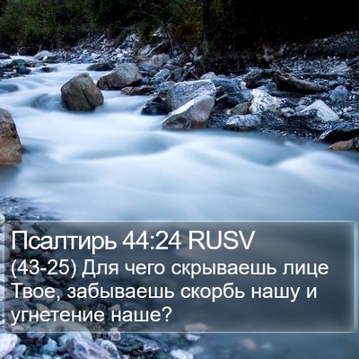 Псалтирь 44:24 RUSV Bible Verse Image