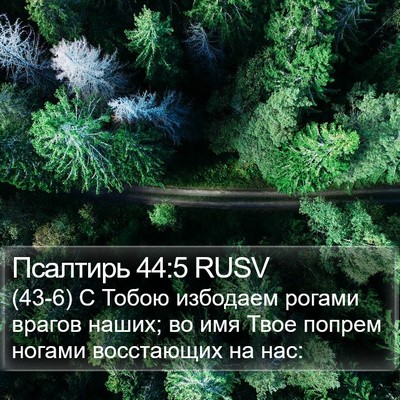 Псалтирь 44:5 RUSV Bible Verse Image