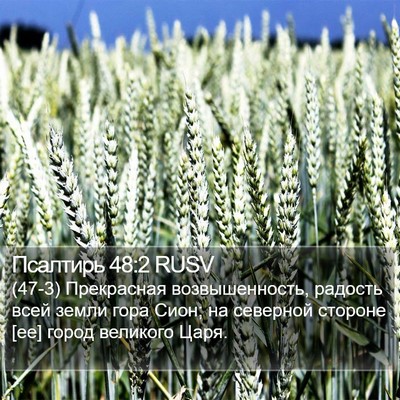 Псалтирь 48:2 RUSV Bible Verse Image