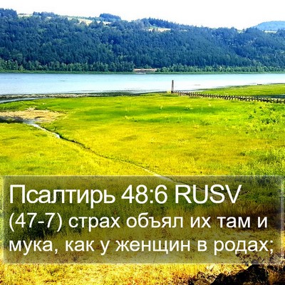 Псалтирь 48:6 RUSV Bible Verse Image