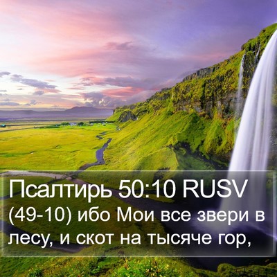 Псалтирь 50:10 RUSV Bible Verse Image