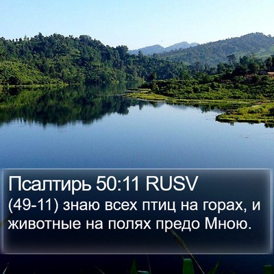 Псалтирь 50:11 RUSV Bible Verse Image