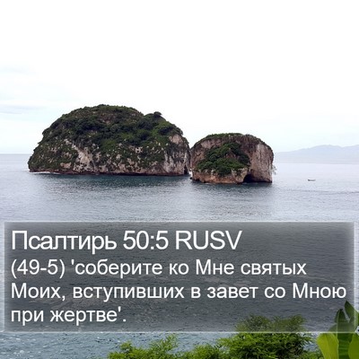 Псалтирь 50:5 RUSV Bible Verse Image