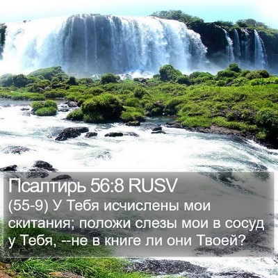 Псалтирь 56:8 RUSV Bible Verse Image